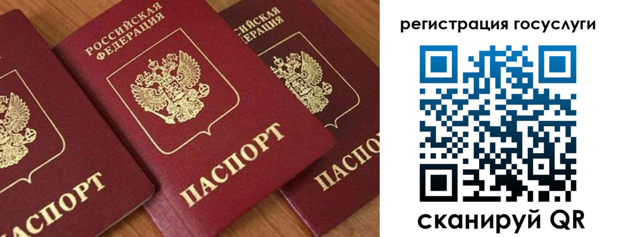 временная регистрация гарантия в Дубовке